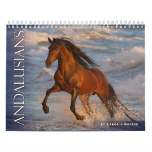 Andalousie par Carol J Walker Horse Calendrier