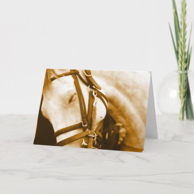 Andalusian Greeting Card (Front)