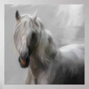 Andalusian horse poster