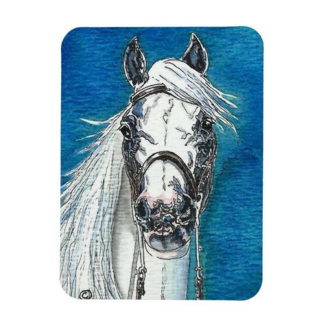 Andalusian Horse Premium Flexi Magnet (Vertical)