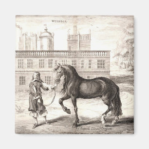 Andalusian PRE Horse – Vintage Spanish Engraving Magnet