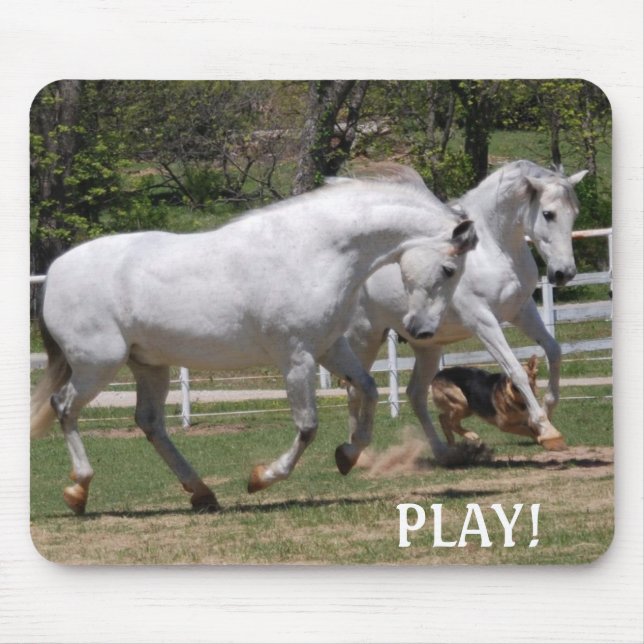 ANDALUSIANS PLAY! MOUSE PAD (Front)