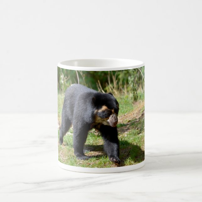 Andean bear walking on grass postcard T-Shirt Coffee Mug (Center)
