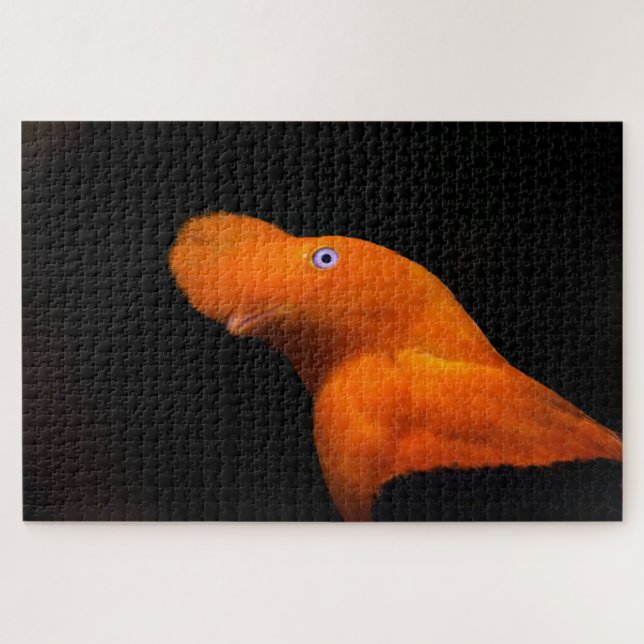 Andean Cock-of-the-Rock Jigsaw Puzzle (Horizontal)