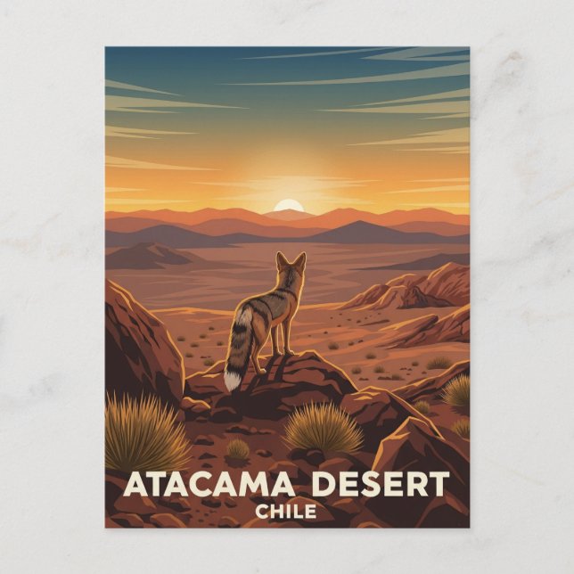 Andean Fox in Atacama Desert Chile Postcard (Front)
