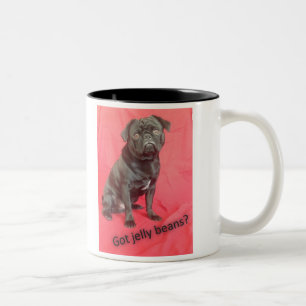 Anderson Pooper, the laziest but cutest Pug! Two-Tone Coffee Mug