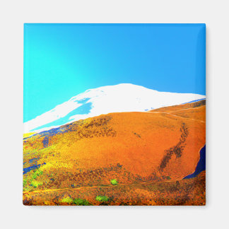 Andes Mountain  View #2 Magnet