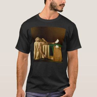 Andrew Bird  My Finest Work Yet Gift For Fans For  T-Shirt