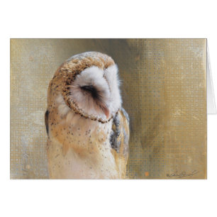 Andrew Denman Barn Owl Blank Card