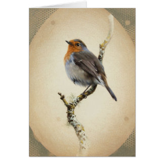 Andrew Denman European Robin Blank Card