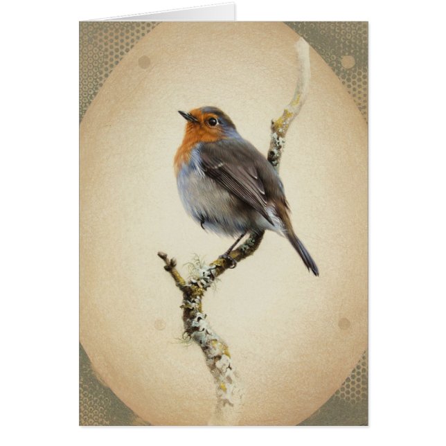 Andrew Denman European Robin Blank Card (Front)