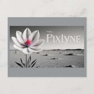 Andrew Goodchild Post Card