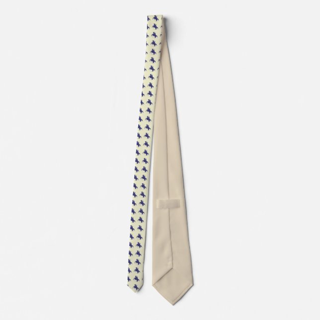 Andrew Jackson Tie (Back)