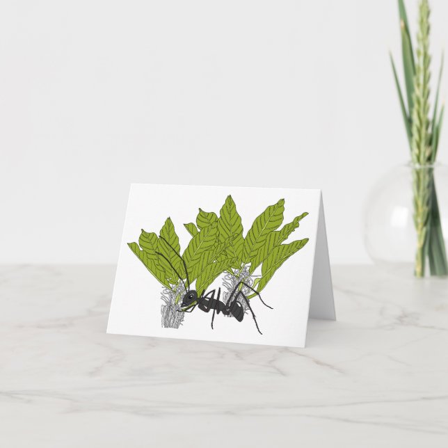 Andrew the ant card (Front)