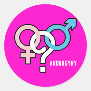 Androgyny Classic Round Sticker