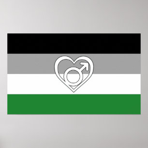 Androphilia Pride Flag and Symbol Poster