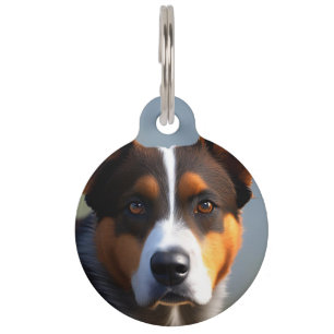 Andy The Australian Blue Heeler, Pet Tag
