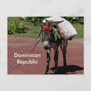 âne en République Dominicaine sur carte postale