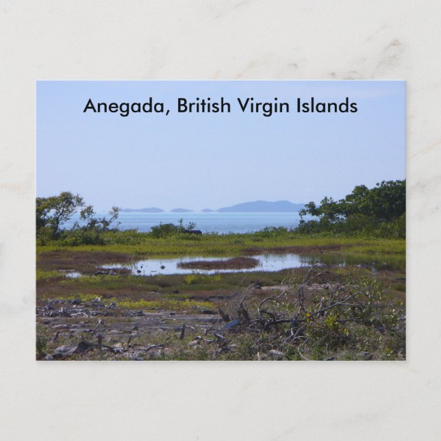 Anegada BVI Postcard (Front)