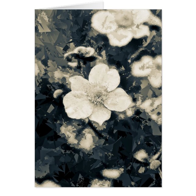 Anemone (Front)