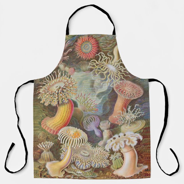 Anemone Apron (Front)