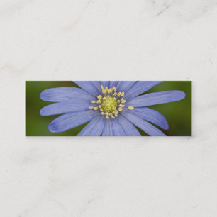 Anemone Blanda Mini Business Card