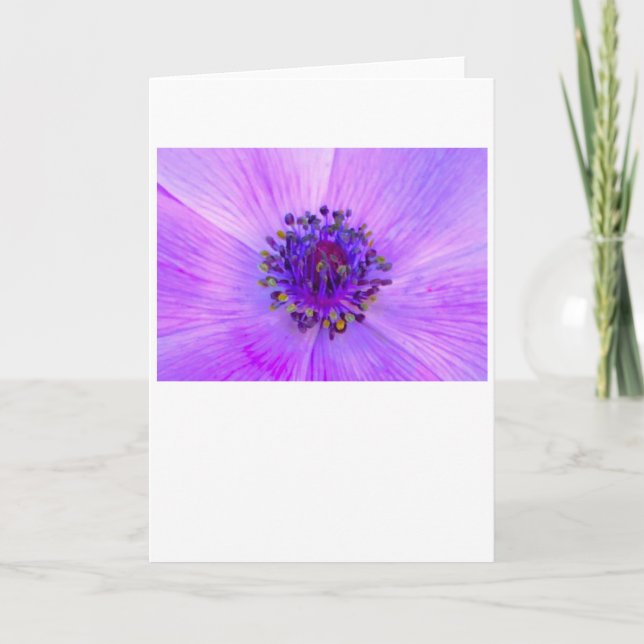 Anemone, card (Front)