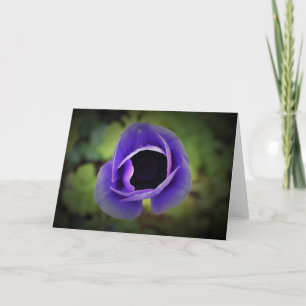 Anemone, card