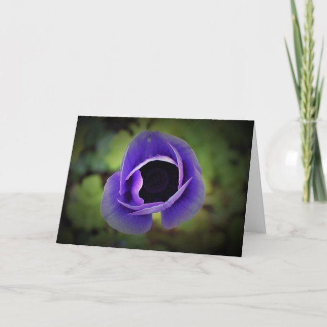 Anemone, card (Front)