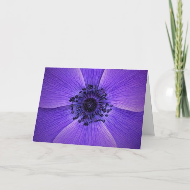 Anemone, card (Front)