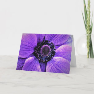 Anemone, card