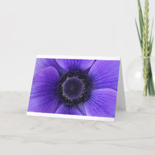 Anemone, card