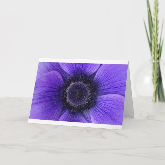Anemone, card (Front)