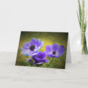 Anemone, card