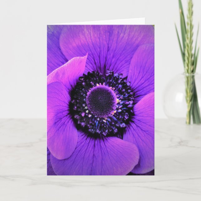 Anemone, card (Front)