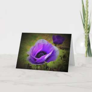 Anemone, card
