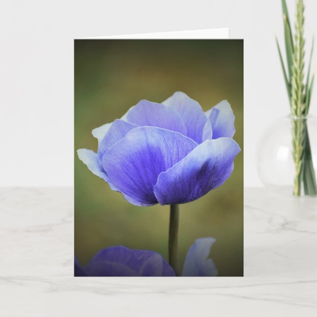 Anemone, card (Front)