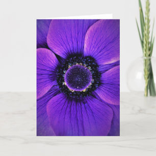 Anemone, card
