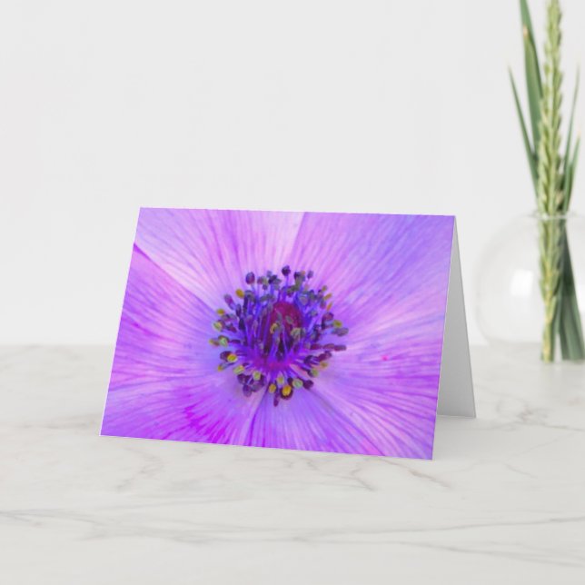 Anemone, card (Front)