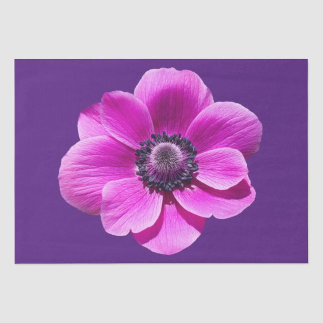 Anemone de Caen Flower Tissue Paper (Front)