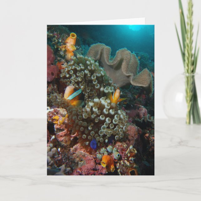 Anemone Fish Garden Card (Front)