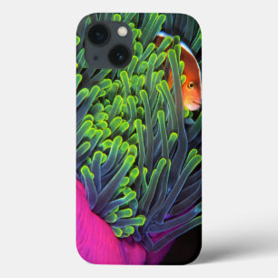 Anemone Fish Hiding In Anemone, Mozambique 2 iPhone 13 Case