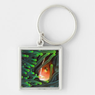 Anemone Fish Hiding In Anemone, Mozambique Keychain