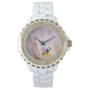Anemone fish watch