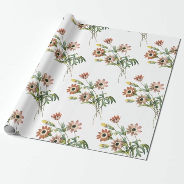 Anemone Flower Pattern Wrapping Paper (Unrolled)