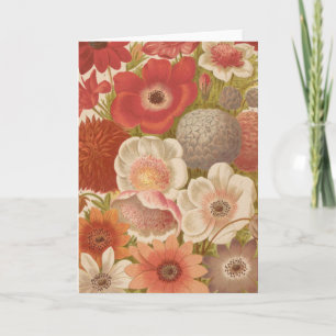 Anemone George Nicholson Card