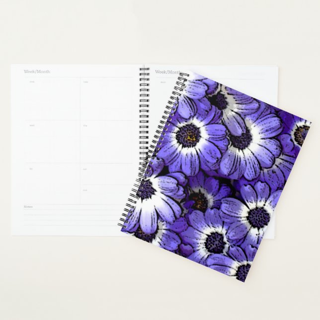 Anemone Planner (Display)