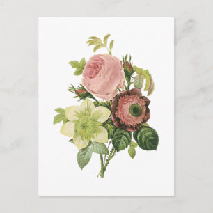 anemone, rose, clematis by Redouté Postcard