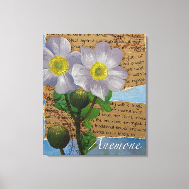 Anemone Stretched Canvas Print (Front)