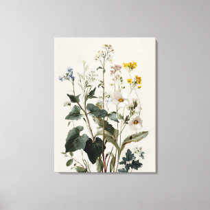 Anemone Wildflower Cluster Canvas Print